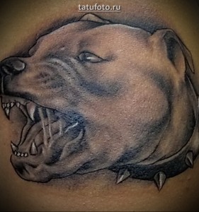 Агресивен Пит - пример за татуировка