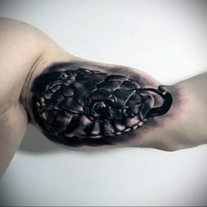 صورة وشم حيوان أبيض وأسود 03/12/2020 №075-وشم حيواني-