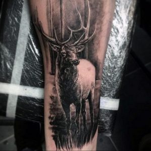 صورة وشم حيوان أبيض وأسود 03/12/2020 №073 -وشم حيواني-