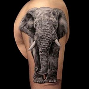 صورة لوشم حيوان أبيض وأسود 03/12/2020 №047 -وشم حيواني-