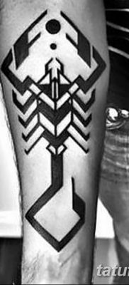 fotó egy skorpió tetoválásról, dátum: 2018.04.24 №018 - skorpió tetoválás -