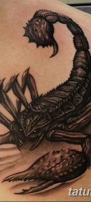 fotó egy skorpió tetoválásról, dátum: 2018.04.24 №034 - skorpió tetoválás -