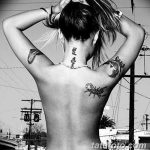 fotó egy skorpió tetoválásról, dátum: 2018.04.24. №027 - skorpió tetoválás -