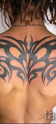 الصورة - وشم قبلي على الظهر - مثال لمقال حول معنى 4064 tatufoto.ru