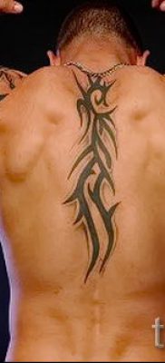 الصورة - وشم قبلي على الظهر - مثال لمقال حول معنى 3063 tatufoto.ru