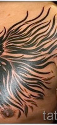 الصورة - وشم الأسد القبلية - مثال لمقال حول معنى 4050 tatufoto.ru