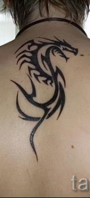 صور - التنين تاتوج القبلية - الأمم المتحدة مثال من أجل المادة سور l’importance de 1032 tatufoto.ru