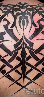 Foto - Tribal Tattoo auf dem Rücken - ein Beispiel für einen Artikel über die Bedeutung der 1006 tatufoto.ru