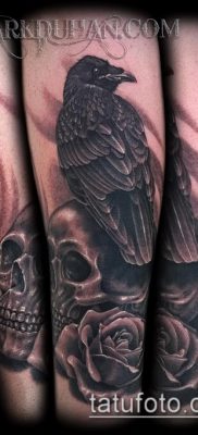 holló a koponya tetováláson (jelentése) - egy példa egy érdekes tetoválási rajzra - 033