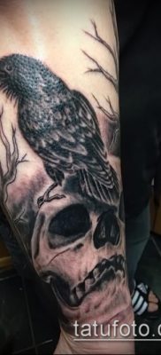 holló koponya tetoválás (jelentése) - példa egy érdekes tetoválási rajzra - 024