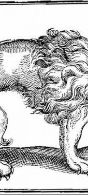 Fénykép egy manticore tetoválásról 2018. 07. 31. №001 - tetováló manticore -