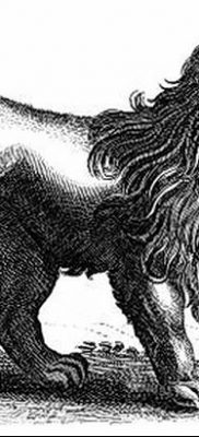 Fénykép egy manticore tetoválásról 2018. 07. 31. №008 - tetováló manticore -