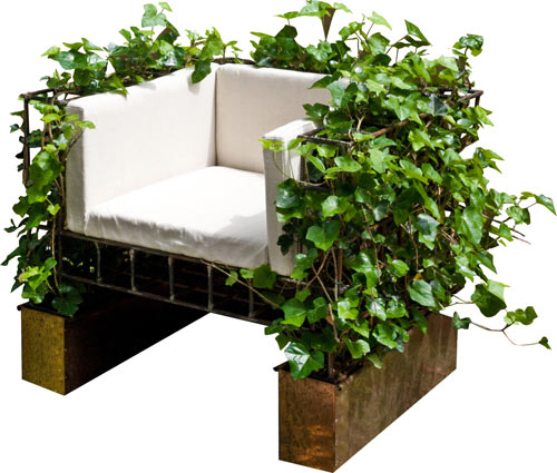 brečtan-zasadené-kreslo-angelo-grassi