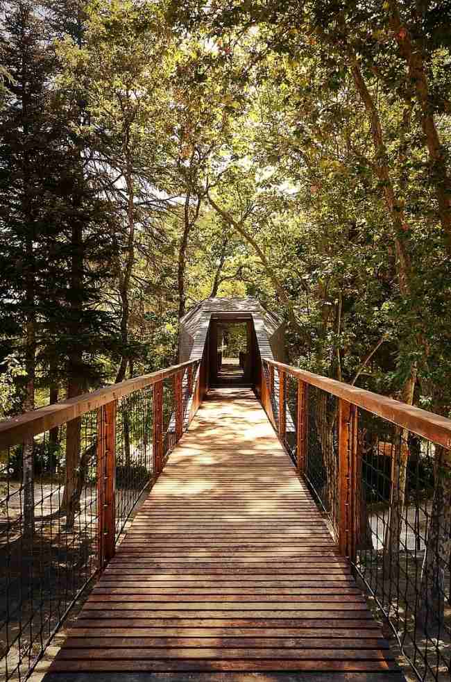 Navrhujte horské chaty. Udržateľnosť. Environmentálne povedomie. Lesy moderný dizajn horské chaty udržateľnosť environmentálne povedomie les