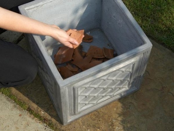 Trpasličí ovocné stromy v kamienkoch kamienky časti hlinenej nádoby zemina